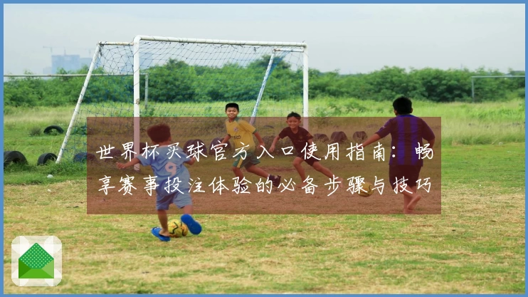 世界杯买球官方入口使用指南：畅享赛事投注体验的必备步骤与技巧