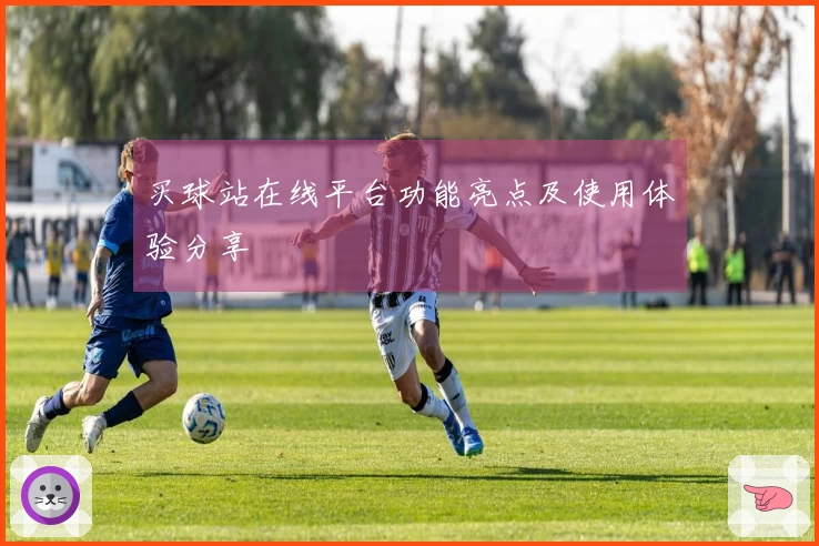 买球站在线平台功能亮点及使用体验分享