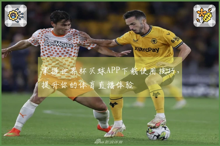 掌握世界杯买球APP下载使用技巧，提升你的体育直播体验