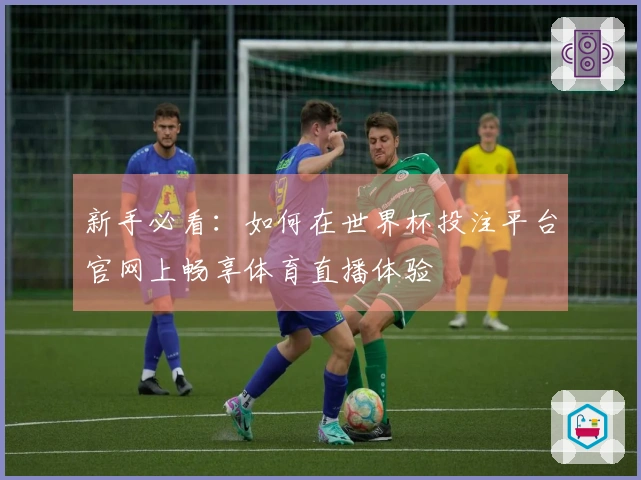 新手必看：如何在世界杯投注平台官网上畅享体育直播体验
