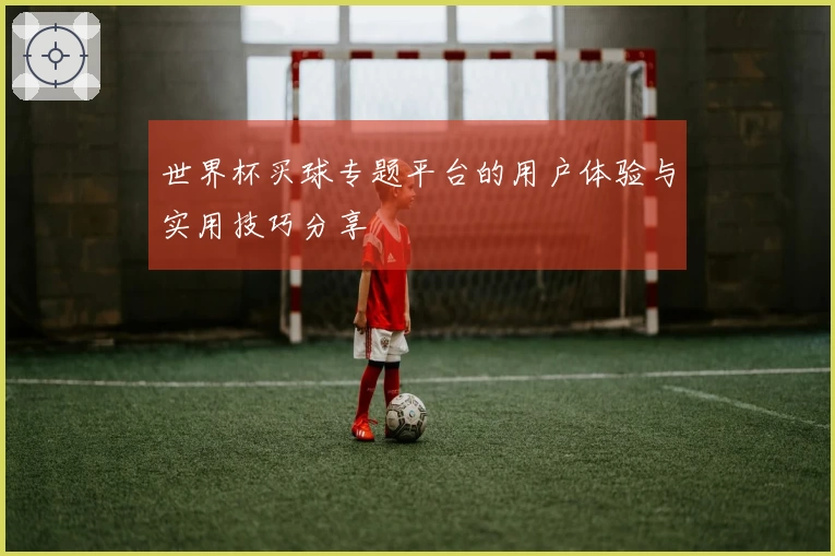 世界杯买球专题平台的用户体验与实用技巧分享