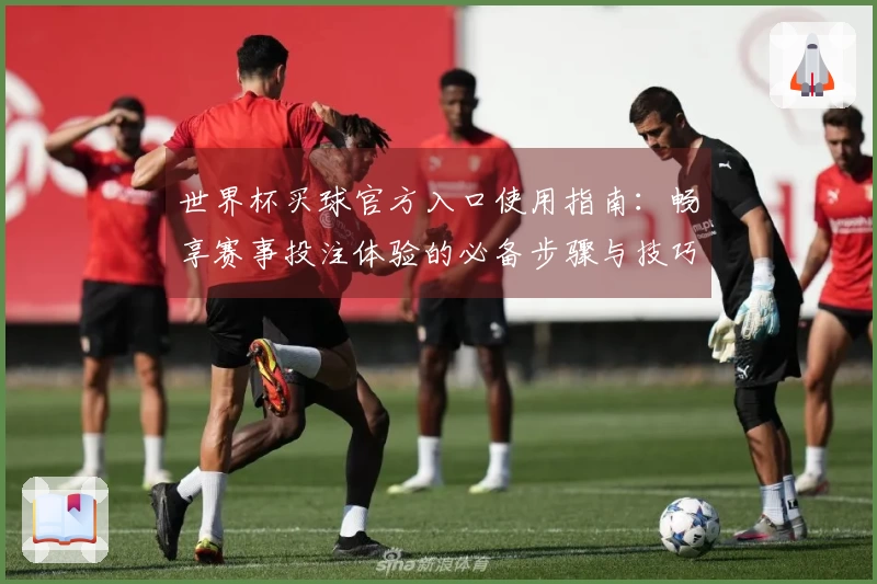 世界杯买球官方入口使用指南：畅享赛事投注体验的必备步骤与技巧
