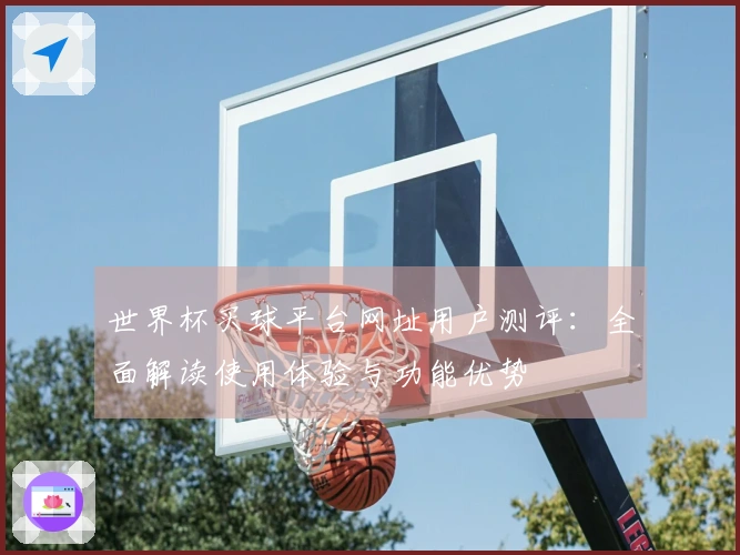 世界杯买球平台网址用户测评：全面解读使用体验与功能优势