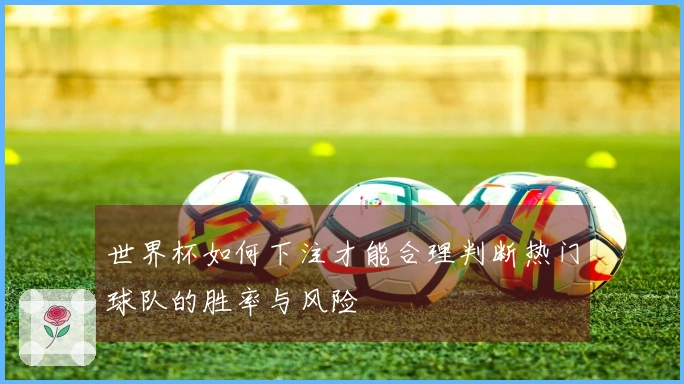 世界杯如何下注才能合理判断热门球队的胜率与风险