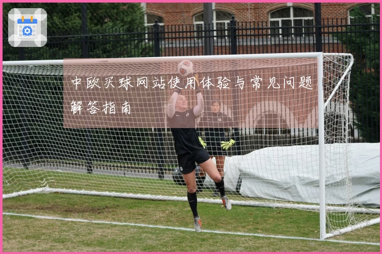 中欧买球网站使用体验与常见问题解答指南