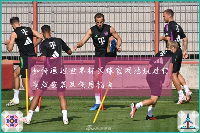 如何通过世界杯买球官网地址进行高效安装及使用指南
