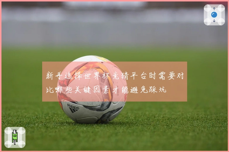 新手选择世界杯竞猜平台时需要对比哪些关键因素才能避免踩坑