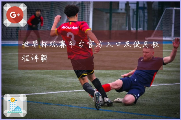 世界杯观赛平台官方入口及使用教程详解