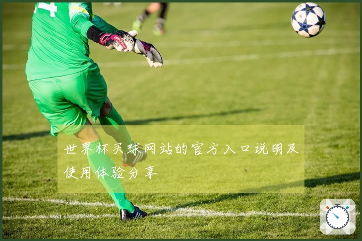 世界杯买球网站的官方入口说明及使用体验分享