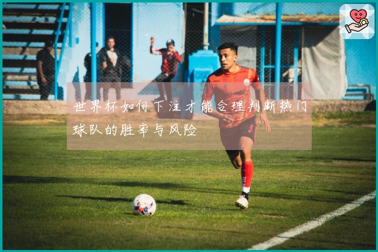 世界杯如何下注才能合理判断热门球队的胜率与风险