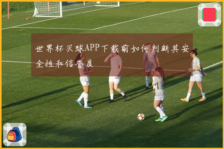 世界杯买球APP下载前如何判断其安全性和信誉度