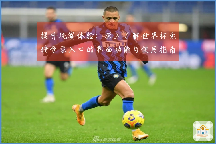 提升观赛体验：深入了解世界杯竞猜登录入口的界面功能与使用指南