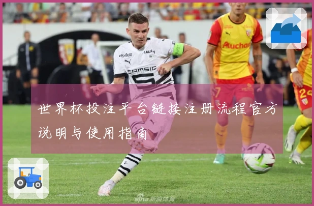 世界杯投注平台链接注册流程官方说明与使用指南