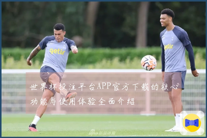 世界杯投注平台APP官方下载的核心功能与使用体验全面介绍