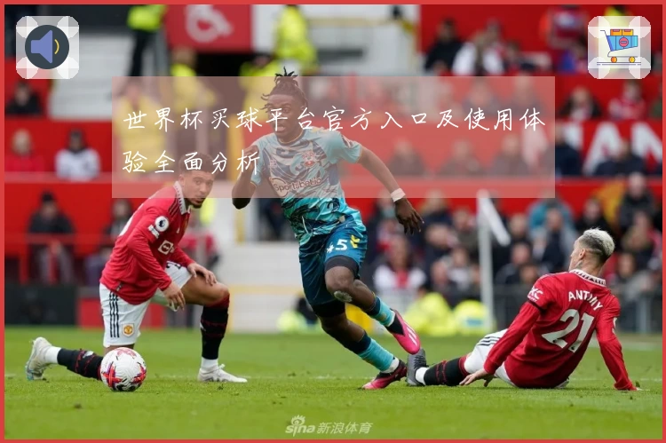 世界杯买球平台官方入口及使用体验全面分析