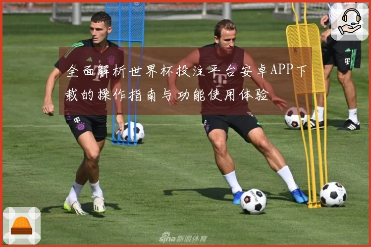 全面解析世界杯投注平台安卓APP下载的操作指南与功能使用体验