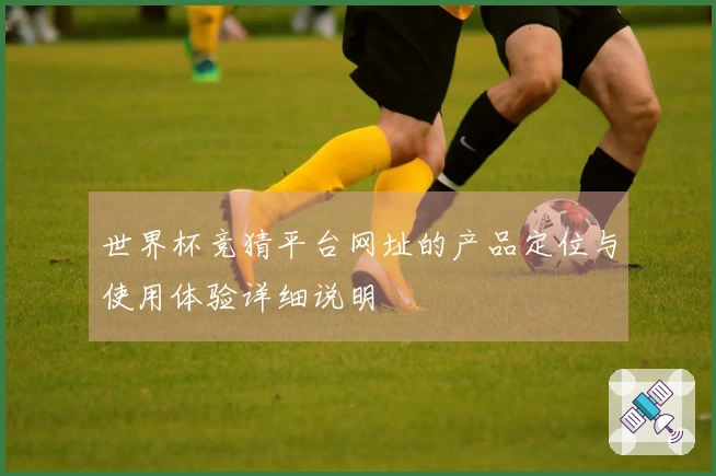 世界杯竞猜平台网址的产品定位与使用体验详细说明