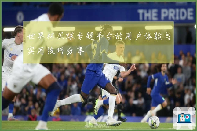 世界杯买球专题平台的用户体验与实用技巧分享